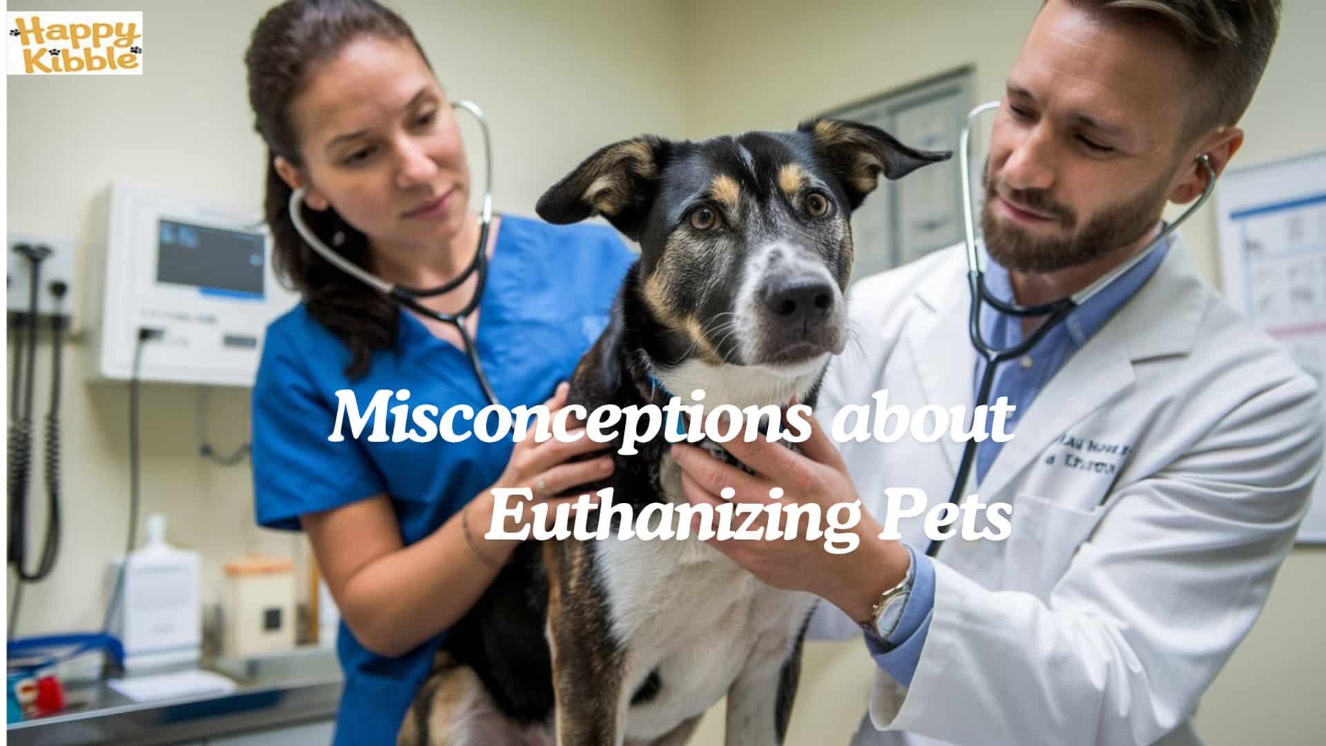 misconceptions about euthanizing pets