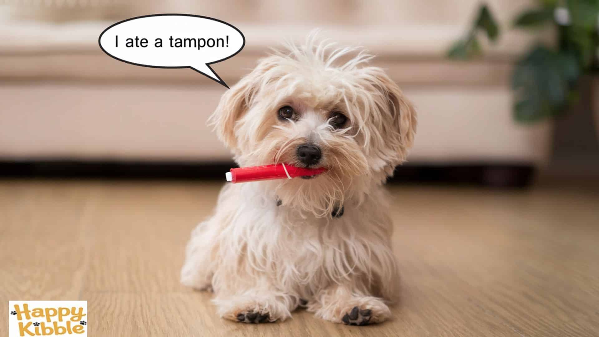 The Dangers of Tampon Ingestion in Dogs