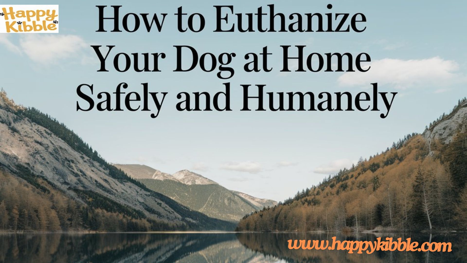 how to Euthunize your Dog at Home Safely and Humanely